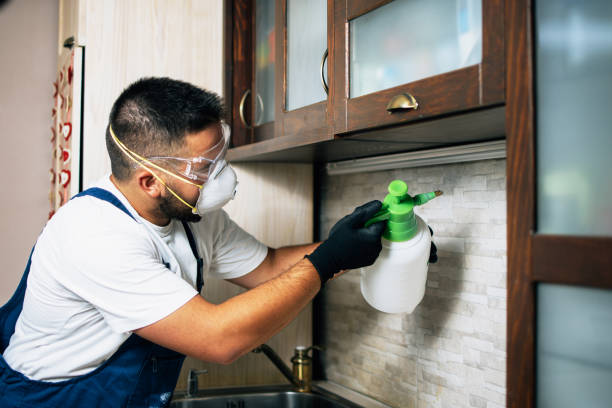 Best Affordable Exterminators  in Underwood, IA