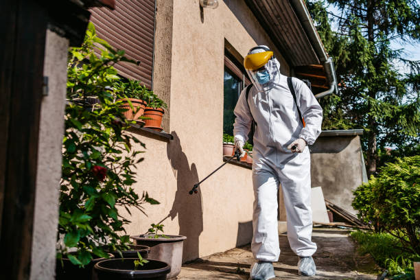 Best Affordable Pest Control Services  in Underwood, IA