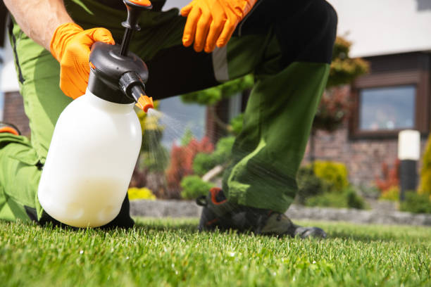 Pest Prevention Services in Underwood, IA