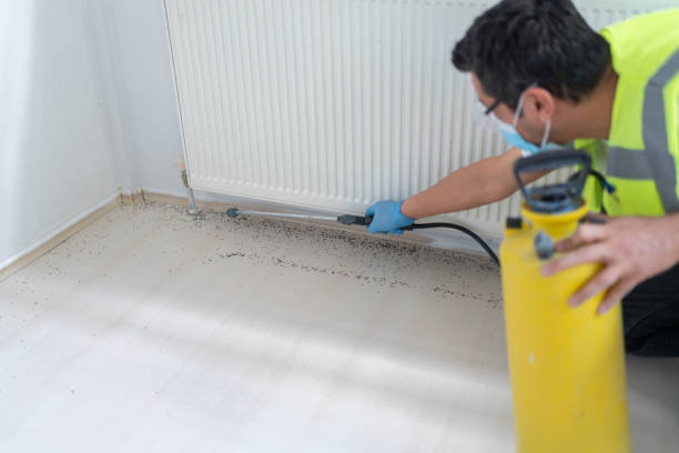 Best Best Pest Control Companies  in Underwood, IA