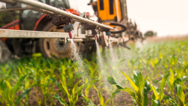 Best Pest Prevention Services  in Underwood, IA