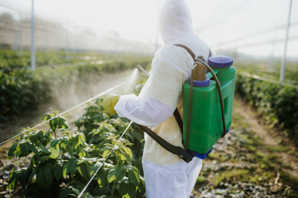 Best Pest Control Near Me  in Underwood, IA